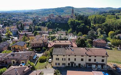Terracielo con giardino