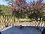 Immagine 26