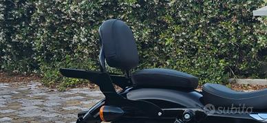 schienalino sissybar sportster iron forty eight