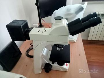 Microscopio trinoculare Motic BA310 MET 50X-500X