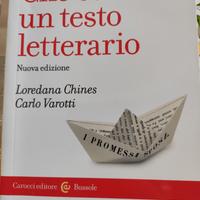 Che cos'è un testo letterario, ISBN 9788843078127