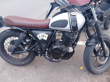 Mutt RS-13 250 - 2024