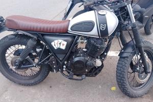 Mutt RS-13 250 - 2024