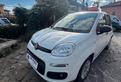 Fiat Panda 1.2 Easy - NEOPATENTATI