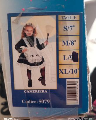 vestito di carnevale 