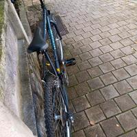 MTB 26 pollici Bianchi