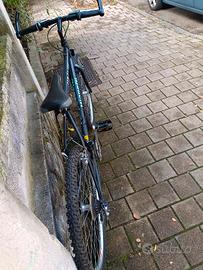 MTB 26 pollici Bianchi
