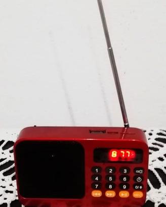 Radio FM digitale portatile- USB-Mp3