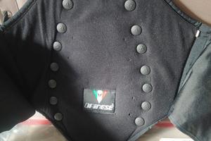 fascia elastica con protezione schiena