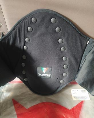 fascia elastica con protezione schiena