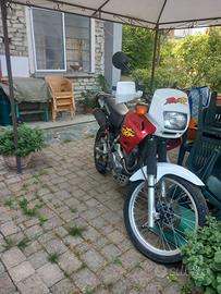 moto honda dominator 650