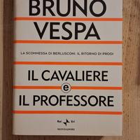 Bruno Vespa il cavaliere e il professore 