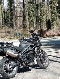 Triumph Tiger XR