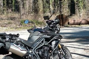 Triumph Tiger XR