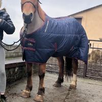 Cavalla domata 8 anni
