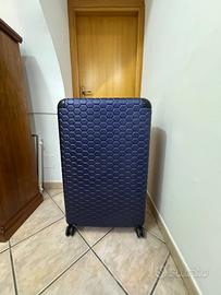 Trolley Carpisa go tech