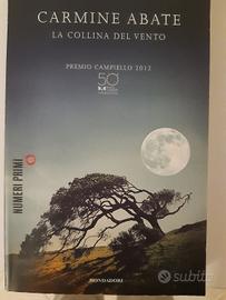 la collina del vento 