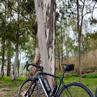 Megamo Raise 15 SH12