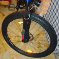 bicicletta elettrica 