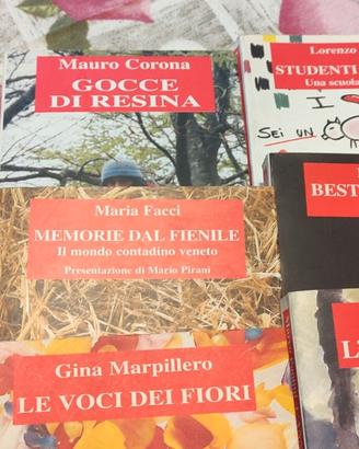 Lotto 10 libri veneti Paolini Corona