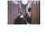 Immagine 10