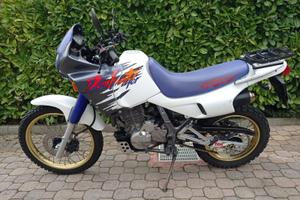 Honda Dominator 650 del 1993