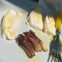 Cicerbita alpina (Radicchio dell’orso) in vasetti