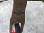 Immagine 2