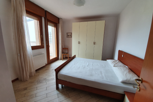 Disponibile da subito