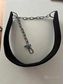 Cintura per palestra