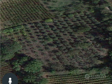 Terreno in centro abitato