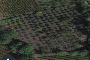 Terreno in centro abitato