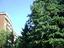 Immagine 29