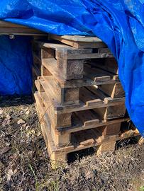 Bancali EPAL pallet disponibili
