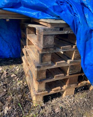 Bancali EPAL pallet disponibili