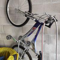 BICI da donna
