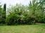 Immagine 29