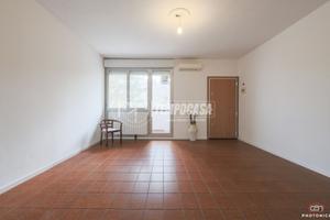 AMPIO QUADRILOCALE AUTONOMO CON DOPPI SERVIZI