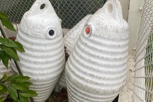 Boe marine miticoltura/ gavitelli