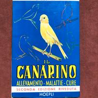Il canarino - allevamento - L. Susmel - 1966
