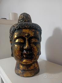 testa di Buddha 