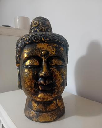 testa di Buddha 