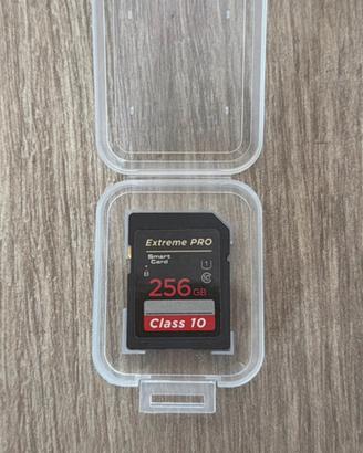 Scheda di memoria sandisk 256gb
