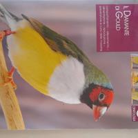 il diamante  di gould