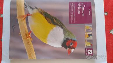 il diamante  di gould