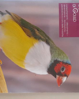 il diamante  di gould