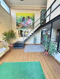 Immobile di 507 m² a Frosinone