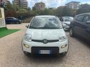 fiat-panda-1-0-firefly-s-s-hybrid-city-life
