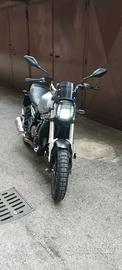 Voge Trofeo 300 ACX Scrambler - Interessi ZERO