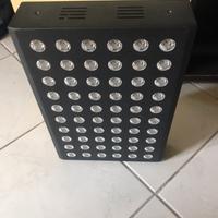 Lampada infrared luce rossa